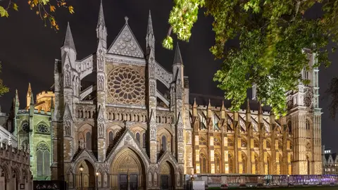 Westminster Abbey's north front lit up at night, with the rose window above the main doors and autumn leaves in the trees on the right